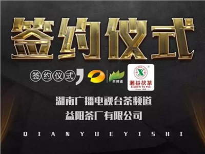 湘益茯，美茗揚 丨湘益茯茶與茶頻道達成長期戰(zhàn)略合作