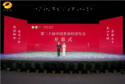 【聚焦第二十屆中國茶業(yè)經(jīng)濟(jì)年會(huì)】益陽茶廠榮獲“民族團(tuán)結(jié)互助企業(yè)”、“2024年度茶業(yè)重點(diǎn)企業(yè)”榮譽(yù)稱號